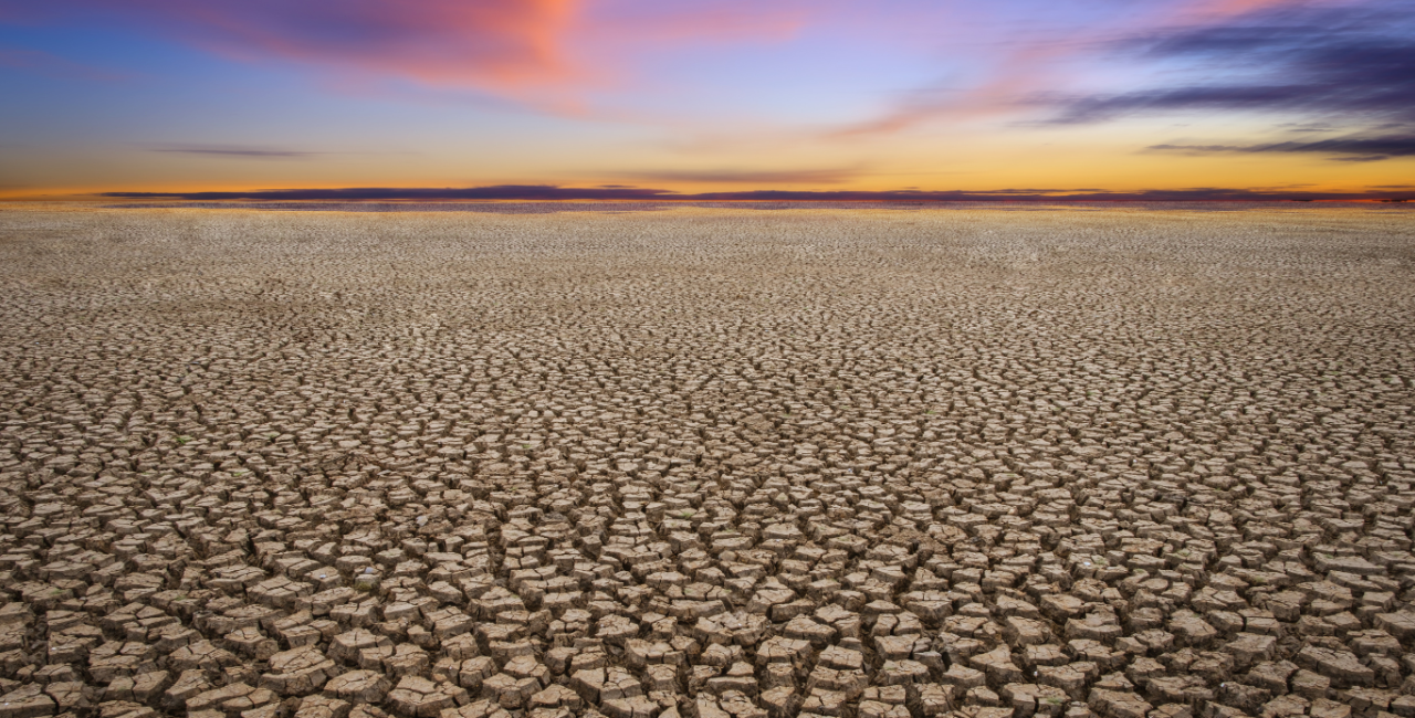 Climate Change and Agriculture: Adapting to a New Reality